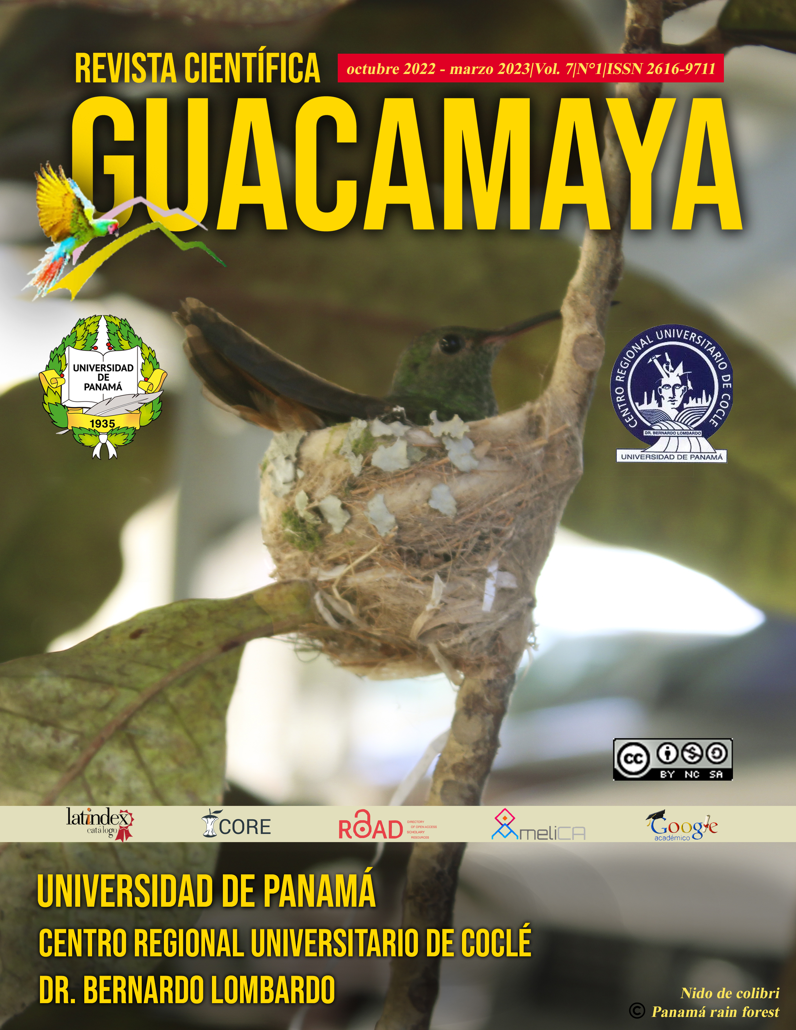 Convertir maorí Instalación Sistemas de información en la gobernanza digital de Panamá y sus desafíos  post pandemia del COVID-19 | Revista Científica Guacamaya