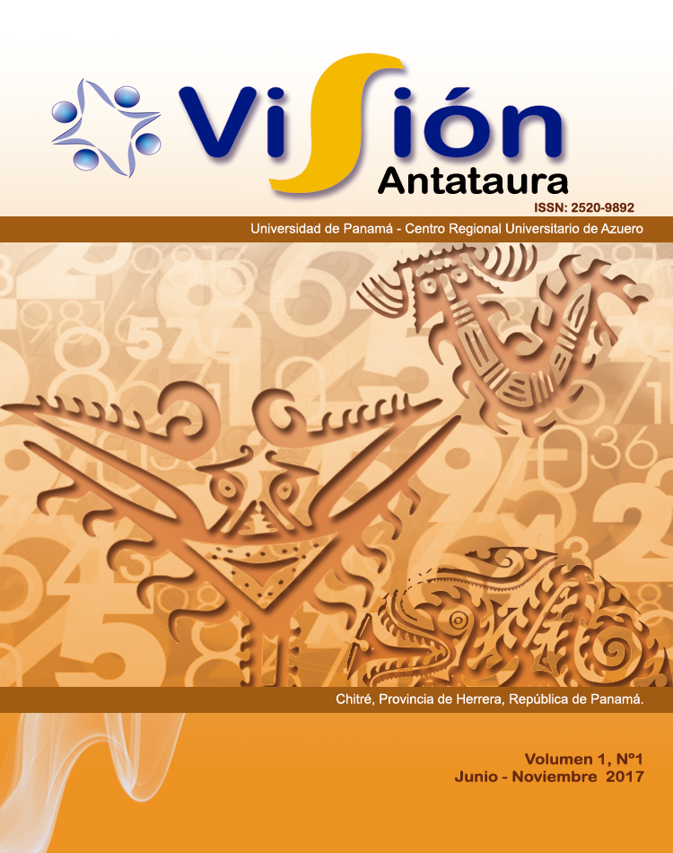 Vol. 1 Núm. 1 (2017): Visión Antataura