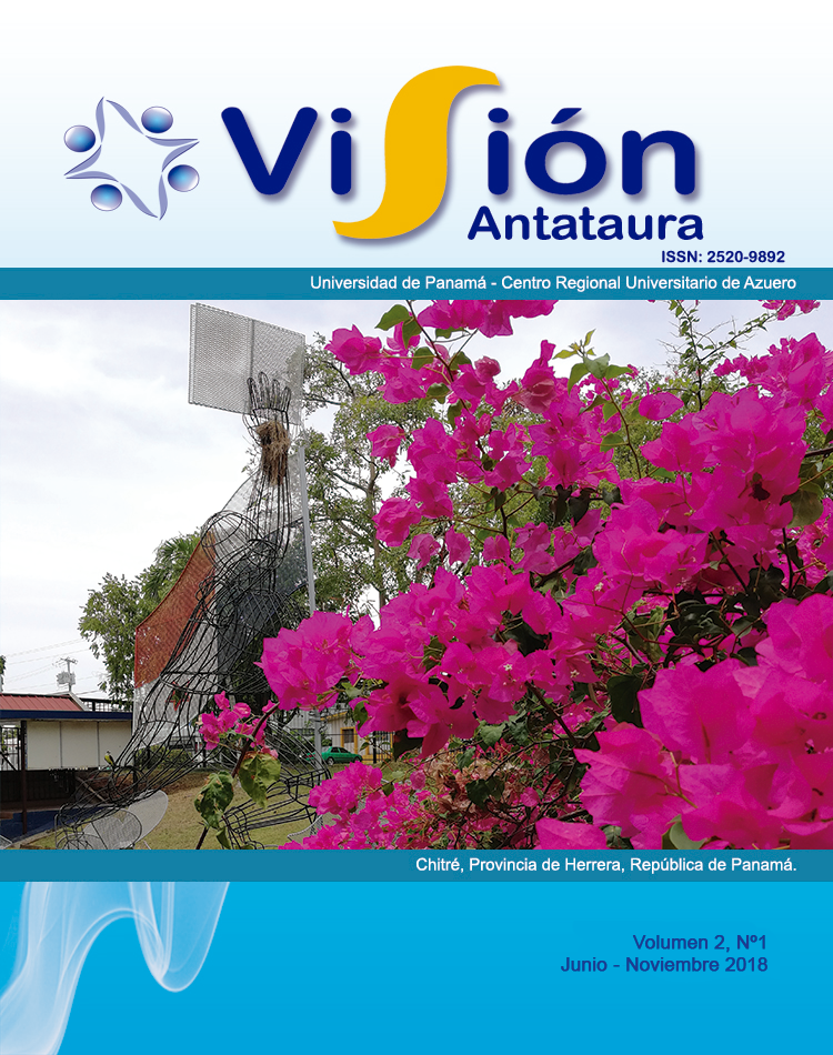 Vol. 2 Núm. 1 (2018): Visión Antataura