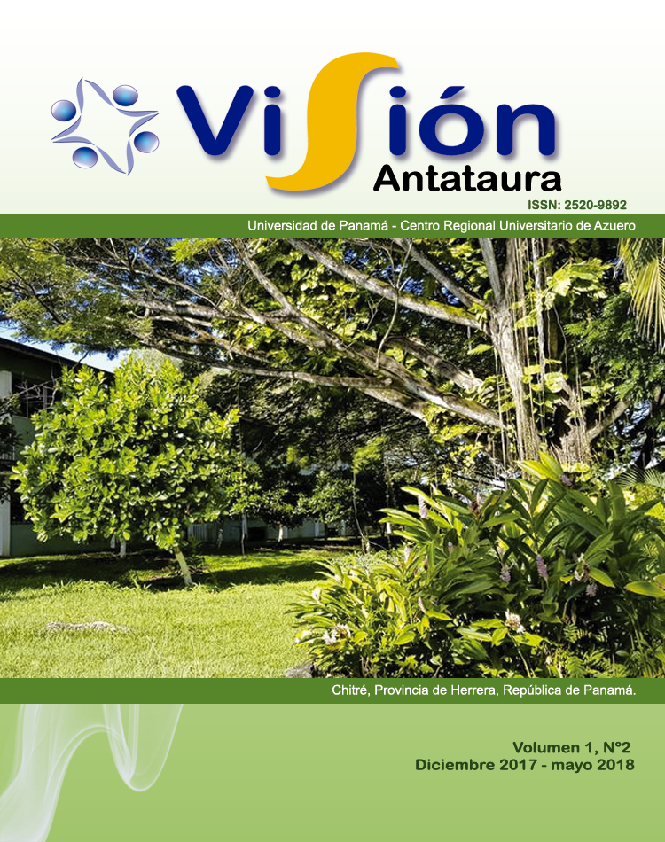 Vol. 1 Núm. 2 (2017): Visión Antataura